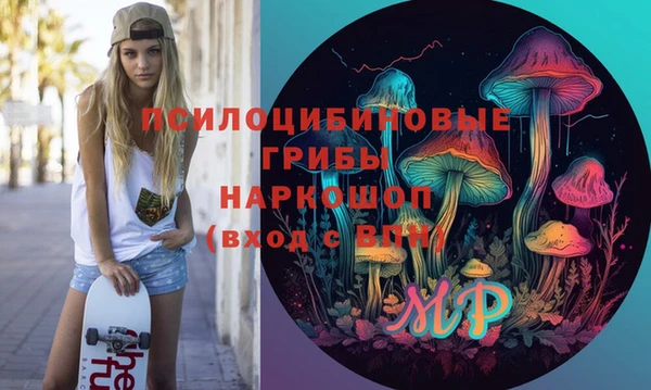 тгк Алексин