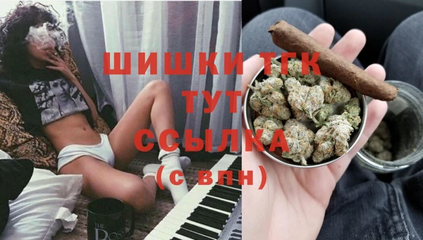 тгк Алексин