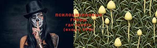 тгк Алексин