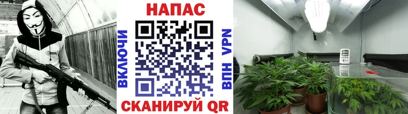 Шишки марихуана White Widow  Усолье-Сибирское 